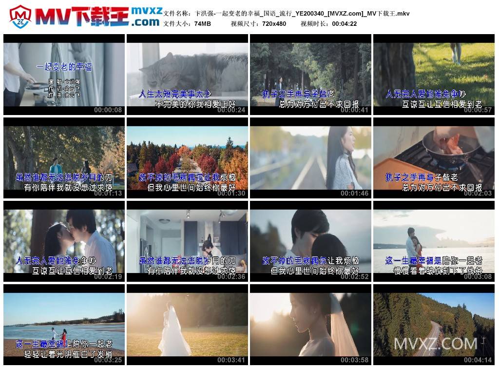 卞洪强-一起变老的幸福_国语_流行_YE200340